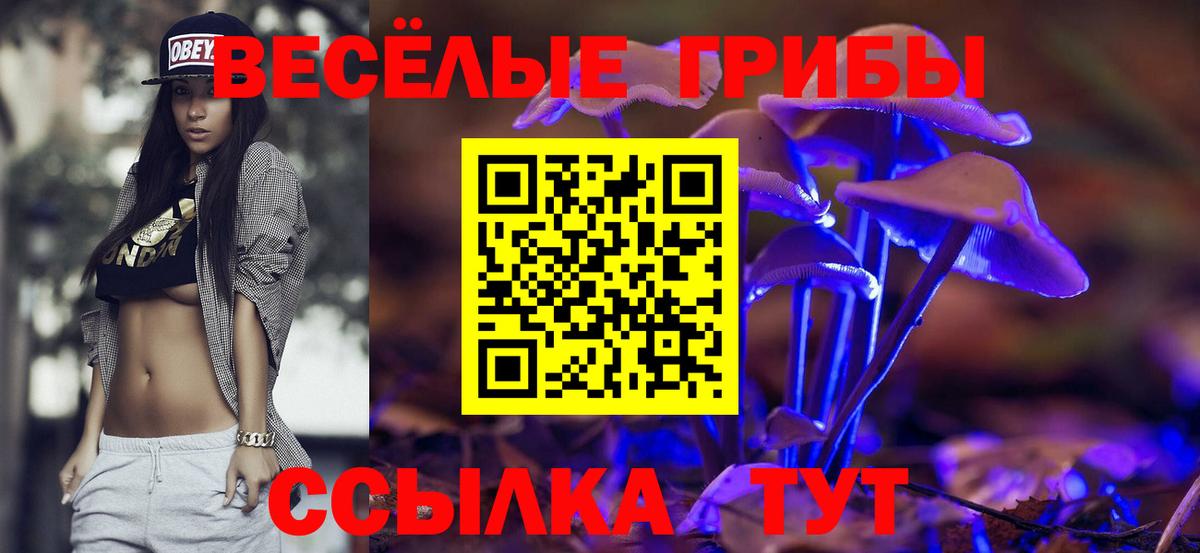Псилоцибиновые грибы Cubensis Славянск-на-Кубани