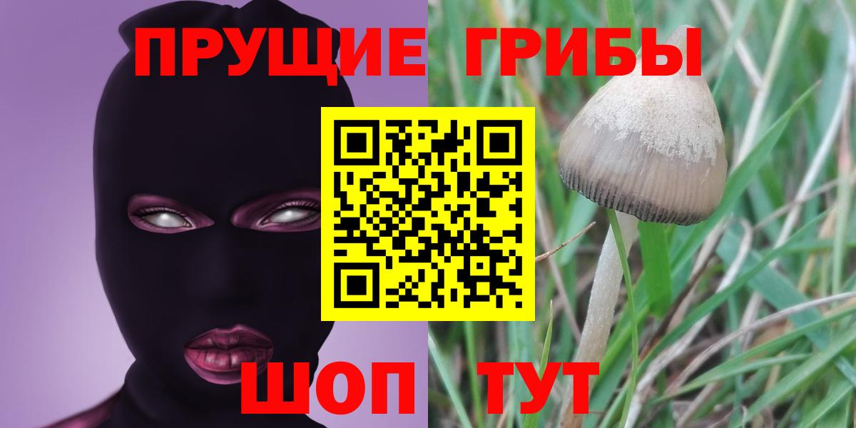 Галлюциногенные грибы Cubensis  Вход с VPN  Галлюциногенные грибы Psilocybine cubensis  где можно купить наркотик  Славянск-на-Кубани 